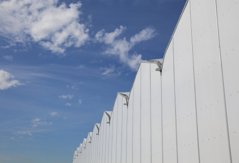 fresh-green-farms-gallery-13 fresh-green-farms-gallery-13