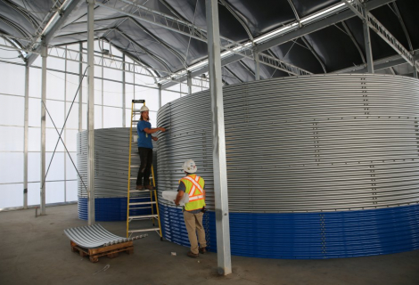 fresh-green-farms-gallery-16 fresh-green-farms-gallery-16