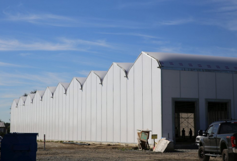 fresh-green-farms-gallery-8 fresh-green-farms-gallery-8